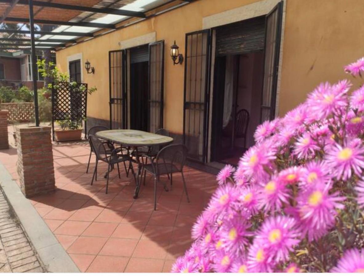 Villa Delle Palme Aci Trezza Dış mekan fotoğraf